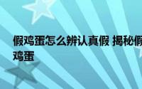 假鸡蛋怎么辨认真假 揭秘假鸡蛋制作全过程,如何辨别真假鸡蛋