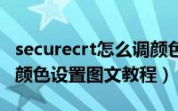 securecrt怎么调颜色（SecureCRT软件背景颜色设置图文教程）