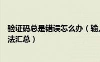 验证码总是错误怎么办（输入验证码总是提示错误的解决方法汇总）