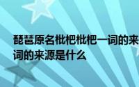 琵琶原名枇杷枇杷一词的来源是什么 琵琶本名枇杷 枇杷一词的来源是什么