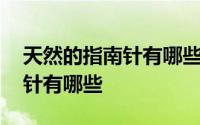 天然的指南针有哪些二年级下册 天然的指南针有哪些