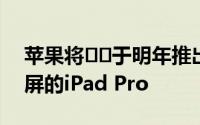 苹果将​​于明年推出其首款具有OLED显示屏的iPad Pro