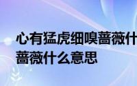 心有猛虎细嗅蔷薇什么意思啊 心有猛虎细嗅蔷薇什么意思