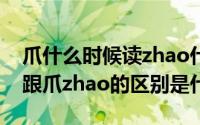 爪什么时候读zhao什么时候读zhua 爪zhua跟爪zhao的区别是什么