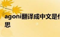 agoni翻译成中文是什么意思 agoni是什么意思