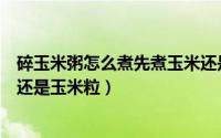 碎玉米粥怎么煮先煮玉米还是米粒（碎玉米粥如何煮先煮米还是玉米粒）