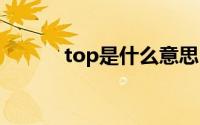 top是什么意思 top是什么意思