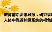 教育前沿资讯导报：研究表明通过燃烧更多的能量可以增加人体中靠近神经系统的褐色脂肪