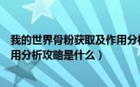 我的世界骨粉获取及作用分析攻略（我的世界骨粉获取及作用分析攻略是什么）