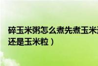 碎玉米粥怎么煮先煮玉米还是米粒（碎玉米粥如何煮先煮米还是玉米粒）