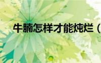 牛腩怎样才能炖烂（牛腩如何炖容易烂）