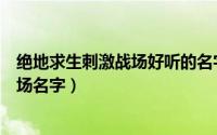 绝地求生刺激战场好听的名字（酷酷的霸气绝地求生刺激战场名字）