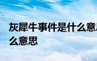 灰犀牛事件是什么意思2020 灰犀牛事件是什么意思