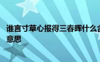 谁言寸草心报得三春晖什么含义 谁言寸草心报得三春晖什么意思