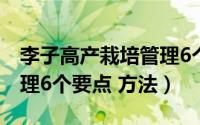 李子高产栽培管理6个要点（李子高产栽培管理6个要点 方法）