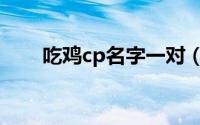 吃鸡cp名字一对（深情cp名字一对）