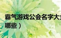 霸气游戏公会名字大全（霸气游戏公会名字有哪些）