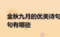 金秋九月的优美诗句 关于金秋九月的优美诗句有哪些