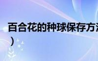 百合花的种球保存方法（百合花种球正确存放）