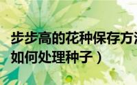 步步高的花种保存方法（用种子来繁殖步步高如何处理种子）