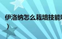 伊洛纳怎么栽培技能哪里学（伊洛纳养殖方法）