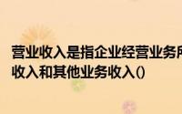 营业收入是指企业经营业务所确认的收入总额,包括主营业务收入和其他业务收入()