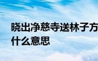 晓出净慈寺送林子方中出是什么意思 中出是什么意思