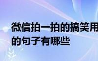 微信拍一拍的搞笑用语 微信拍一拍搞笑后缀的句子有哪些