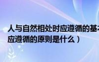 人与自然相处时应遵循的基本原则是什么（人与自然相处时应遵循的原则是什么）