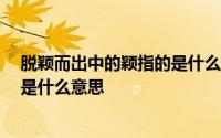 脱颖而出中的颖指的是什么意思 成语”脱颖而出”的‘颖’是什么意思