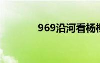 969沿河看杨柳是什么意思？