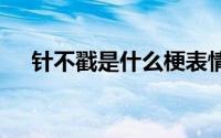 针不戳是什么梗表情包 针不戳是什么梗