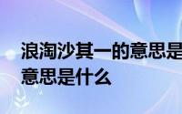 浪淘沙其一的意思是什么简短 浪淘沙其一的意思是什么