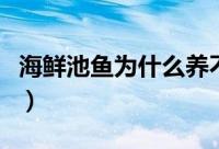 海鲜池鱼为什么养不活（海鲜池鱼为何养不活）