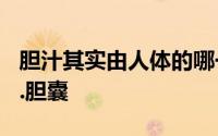 胆汁其实由人体的哪一个器官分泌的 a.肝脏b.胆囊