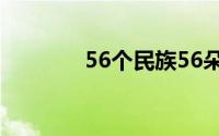 56个民族56朵花这是哪首歌