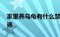 家里养乌龟有什么禁忌 家里养乌龟有什么忌讳