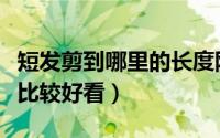 短发剪到哪里的长度刚好合适（短发剪到哪里比较好看）