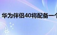 华为伴侣40将配备一个6.67英寸曲面LG屏幕