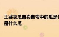 王婆卖瓜自卖自夸中的瓜是什么瓜 王婆卖瓜自卖自夸中卖的是什么瓜