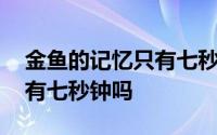 金鱼的记忆只有七秒的小故事 金鱼的记忆只有七秒钟吗