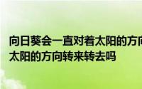 向日葵会一直对着太阳的方向转来转去吗 向日葵会一直跟着太阳的方向转来转去吗