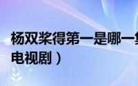 杨双桨得第一是哪一集（杨双桨潘小晓是什么电视剧）