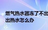 燃气热水器冻了不出热水 燃气热水器冻了不出热水怎么办