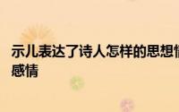 示儿表达了诗人怎样的思想情感 示儿表达了诗人怎样的思想感情