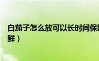 白茄子怎么放可以长时间保鲜（白茄子如何放可以长时间保鲜）