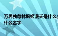 万界独尊林枫姬漫夭是什么小说 主角叫林枫姬漫夭的小说叫什么名字
