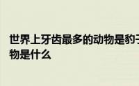 世界上牙齿最多的动物是豹子还是蜗牛 世界上牙齿最多的动物是什么