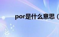 por是什么意思（por意思是什么）