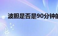 波胆是否是90分钟的赛果 波胆是啥意思